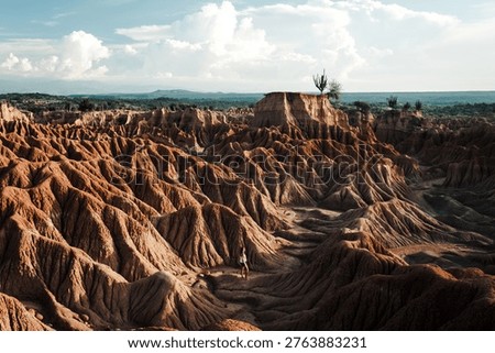 Dramatic eroded red rock formations and canyons of the Tatacoa Desert in Huila, Colombia, with a lone figure providing scale against the immense otherworldly landscape.