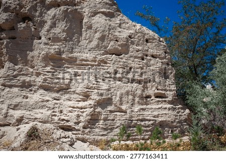 Dramatic eroded tuff rockface in Cappadocia's fairy chimneys near Ürgüp, riddled with ancient cave dwellings and troglodyte openings. Layered volcanic formations evoke Ancient Anatolia's Seljuk architecture at Osiana, Hagios Prokopios, Başköy. Arid bushes, pines frame blue sky vista. Perfect for tourism ads, geology docs, travel mag covers boosting wanderlust escapes.