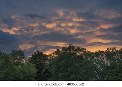 dramatic evening clouds over trees at sunset glow