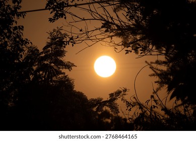 Dramatic evening scene featuring a bright full moon partially obscured by dark tree branches, creating a mystical atmosphere ideal for nature, travel, or spiritual themes in marketing and design.