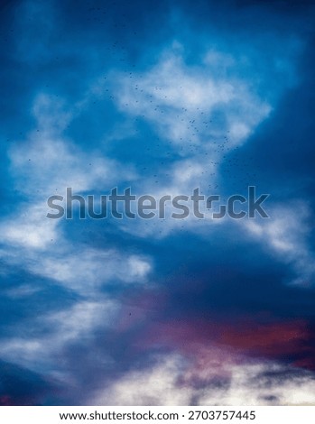 Dramatic evening sky with distant flock of birds;Colorful evening sky with blue and purple clouds and a distant flock of small birds in flight. Atmospheric natural background with soft gradients and m