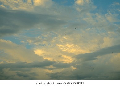 A dramatic evening sky painted with soft golden light and layers of drifting clouds, creating a calm yet powerful atmosphere. The scattered birds soaring across the horizon add a sense of freedom and serenity, while the subtle blue tones peeking through the clouds bring balance and depth to the scene. This photograph beautifully captures the quiet beauty of nature just before sunset.