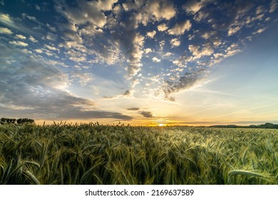 Dramatic evening sky at a sunset on a wheat field