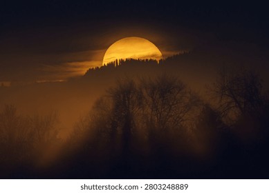 A dramatic evening winter landscape showing a large golden sun setting over a silhouetted pine forest ridge with thick fog and misty trees in the foreground in Miesbach, Bavaria.⁠