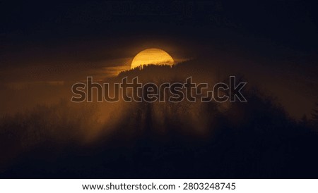 A dramatic evening winter landscape showing a large golden sun setting over a silhouetted pine forest ridge with thick fog and misty trees in the foreground in Miesbach, Bavaria.⁠