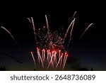 Dramatic fireworks display with intense red, orange, and purple bursts against a pitch-black night sky. Captures the chaotic beauty of celebratory moments with sharp, luminous trails.