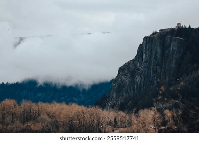 Dramatic fog rolls over rugged cliffs and forested hills, with bare trees in the foreground and an overcast sky enhancing the moody atmosphere. - Powered by Shutterstock