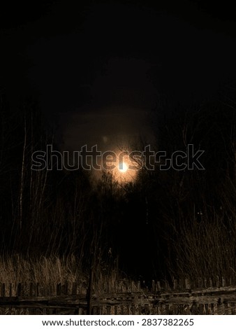 A dramatic full moon rising behind dark silhouettes of forest trees at night, creating a spooky orange haze in the dark cloudy sky above an old wooden fence