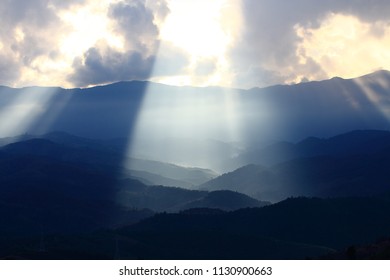 2,577 Forest god rays Images, Stock Photos & Vectors | Shutterstock