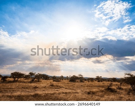 Dramatic God Rays and Sun Beams Piercing Through Clouds Over the African Savannah Landscape