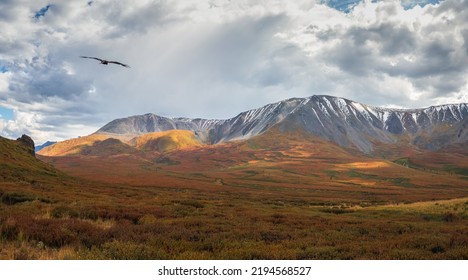 123,581 Mountain dramatic lighting Images, Stock Photos & Vectors ...