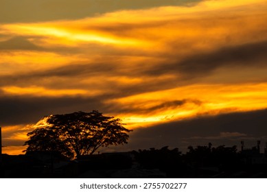 A dramatic golden sunset casts a vibrant glow over a city skyline. Dark clouds part to reveal the brilliant sun, silhouetting buildings and a lone tree against the luminous sky.