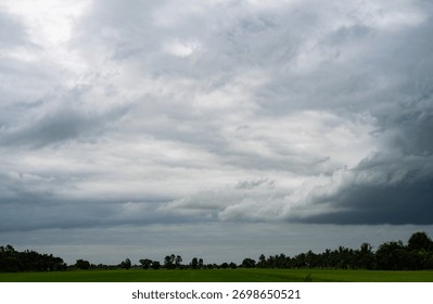 Dramatic grey storm clouds gathering over green rice field in countryside. Climate change impact weather patterns and powerful atmosphere of approaching storm in rural nature agricultural landscape.