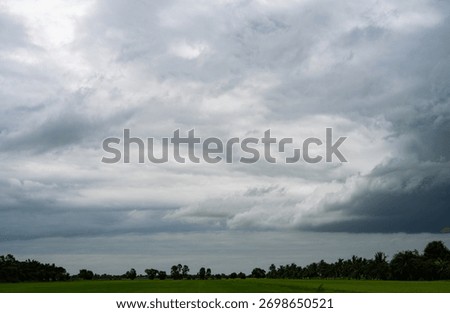 Dramatic grey storm clouds gathering over green rice field in countryside. Climate change impact weather patterns and powerful atmosphere of approaching storm in rural nature agricultural landscape.