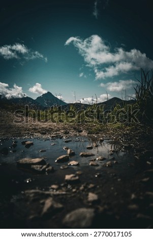 Dramatic ground-level view of muddy rocky mountain trail puddle with wild grass, sharp peaks and dramatic teal cloudy sky in background after rain.