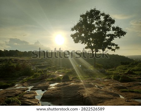Dramatic HDR landscape featuring a prominent lone tree on a rocky terrain with reflective water puddles, illuminated by a bright sunset and radiant sunbeams piercing through the clouds.