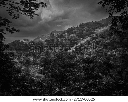 A dramatic, high contrast black and white shot of a lush tropical mountain landscape under heavy, stormy clouds. Dense jungle foliage frames the dark, brooding scene, emphasizing the raw, untamed natu