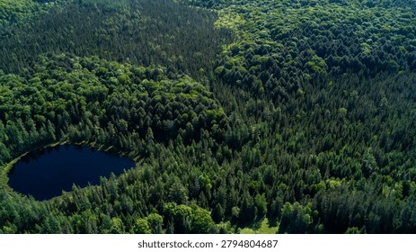 A dramatic high-angle drone photograph capturing a deep blue, isolated kettle lake pond nestled tightly within a vast rolling forest of mixed evergreen pine and deciduous trees in spring.