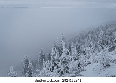 A dramatic high-angle view looking down a mountain slope covered with heavily snowed pine trees fading into a thick, misty fog. A minimalist and atmospheric depiction of a freezing winter mountain environment. 