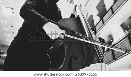 Dramatic high-contrast black and white shot of a musician playing the double bass, viewed from a low angle in a concert hall.


