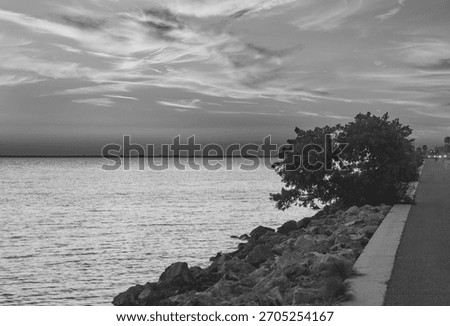 The dramatic horizon and architectural silhouette create a serene yet dynamic scene in monochrome, Soft twilight tones highlight the waterfront skyline, enhancing the photo’s overall visual impact