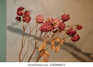 A dramatic, horizontal close-up of withered red and pink rose buds casting sharp, graphic shadows against a warm wall.
The intense interplay of light and dark emphasizes the fragile, papery texture of the petals, capturing a sense of vintage romance and poetic decay. Ideal for editorial layouts, book covers, and fine art prints.