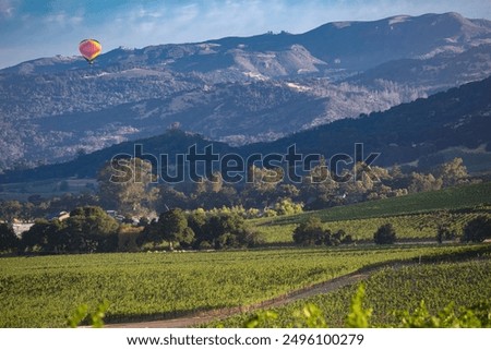 Dramatic image of a Air Balloon over Sonoma valley vineyards in early morning sunlight with rows of grape vines in foreground.