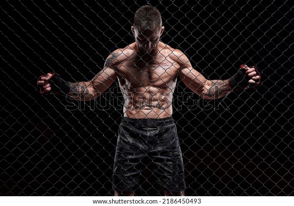 Dramatic\
image of a mixed martial arts fighter standing in an octagon cage.\
The concept of sports, boxing, martial arts.\
