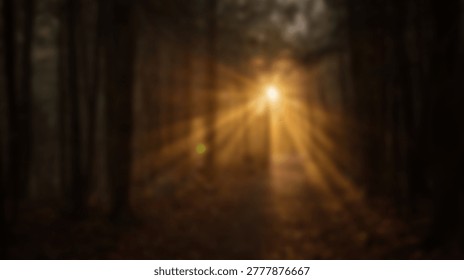 Dramatic image of sunlight piercing through a dense forest canopy, creating a beautiful and atmospheric scene. The light rays illuminate the trees and forest floor.