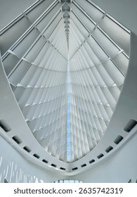 A dramatic interior view of a modern architectural space featuring a symmetrical, curved ceiling with white fins and a vertical skylight.