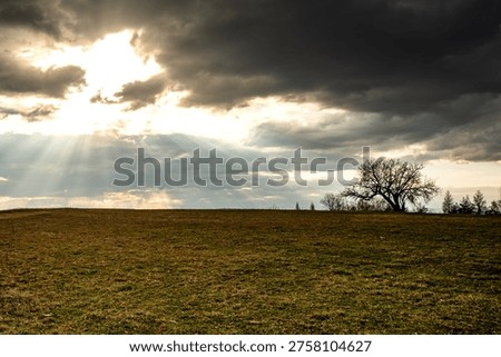 Dramatic landscape with lone tree under dark clouds and powerful sun rays breaking through, creating divine light, heavenly atmosphere and spiritual mood over open meadow.