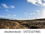 Dramatic landscape on Cannock Chase, Staffordshire, England, UK