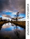 Dramatic landscape on Cannock Chase, Staffordshire, England, UK
