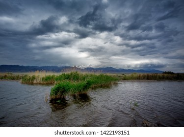 dramatic landscape on the lake