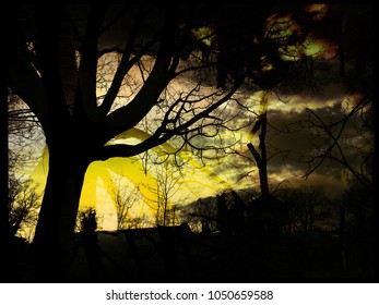 Dramatic landscape picture of sunset with cloud and sky over a park with silhouette of trees and bench and a shelter. Nature natural park outdoor sunset scenery 