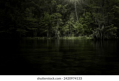 Dramatic light on the Wakulla River, sunbeam down on small tree in the swampy waters.