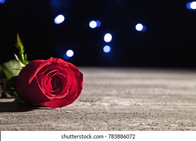 Dramatic lighting on rose in foreground with lights in the background.  Shallow depth of field with focus on rose petal.  
