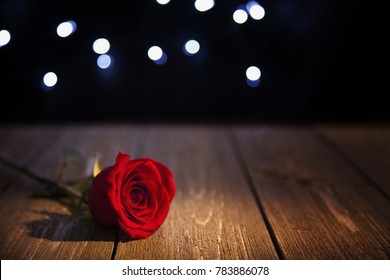 Dramatic lighting on rose in foreground with lights in the background.  Shallow depth of field with focus on rose petal.  