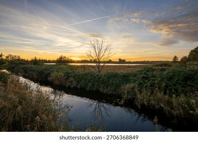 Dramatic lighting and a wide-angle perspective. The contrast of dark foliage and ethereal light at the gloaming.