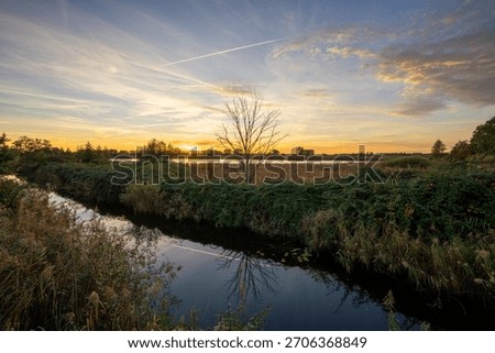 Dramatic lighting and a wide-angle perspective. The contrast of dark foliage and ethereal light at the gloaming.