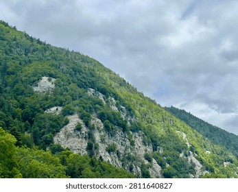Dramatic limestone cliffs and dense green pine forests in the Swiss Jura mountains, showcasing raw alpine wilderness.