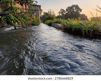 Dramatic low angle photo of a small river stream or irrigation channel flowing swiftly with a rippling and light-reflecting water surface. The river banks are filled with lush green vegetation including grass, water plants, and shrubs. On the left side is an old building with climbing plants. The golden orange sunset sky in the background creates a warm, beautiful, and dramatic rural natural atmosphere.