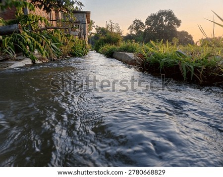 Dramatic low angle photo of a small river stream or irrigation channel flowing swiftly with a rippling and light-reflecting water surface. The river banks are filled with lush green vegetation including grass, water plants, and shrubs. On the left side is an old building with climbing plants. The golden orange sunset sky in the background creates a warm, beautiful, and dramatic rural natural atmosphere.