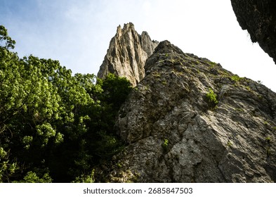Dramatic Low Angle View of Steep Limestone Cliffs and Lush Green Foliage