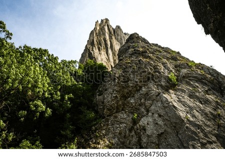 Dramatic Low Angle View of Steep Limestone Cliffs and Lush Green Foliage