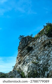 Dramatic low angle view of a vertical rocky limestone cliff side with a single tree on top stretching towards the deep blue sky. 