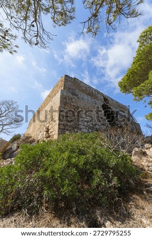 A dramatic, low-angle close-up of the imposing Norman Tower (Torre di Levanzo), a major historical landmark, with its rugged stone texture highlighted against a bright blue sky and naturally framed by dark Mediterranean foliage.