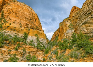 Dramatic low-angle view looking up at massive orange and yellow layered sandstone cliffs with green vegetation in Zion National Park