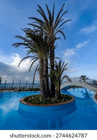Dramatic low-angle view of palm trees reflected in rainwater near a seaside swimming pool in Madeira, Portugal, with moody clouds and Atlantic Ocean light.
