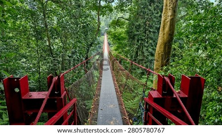 Dramatic low-angle view of the red suspension bridge entrance structure in Java, Indonesia, emphasizing the bold red metal framework and cable supports against a lush tropical forest backdrop. The upward perspective highlights the engineering complexity and visual impact of the bridge's construction, while the vivid red color pops dramatically against the surrounding green vegetation. A unique architectural perspective rarely captured at this popular eco-tourism destination.